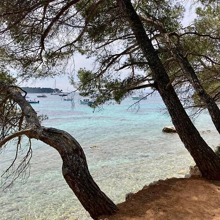 Appartement Centre Croisette Emplacement Exceptionnel Cannes Dış mekan fotoğraf