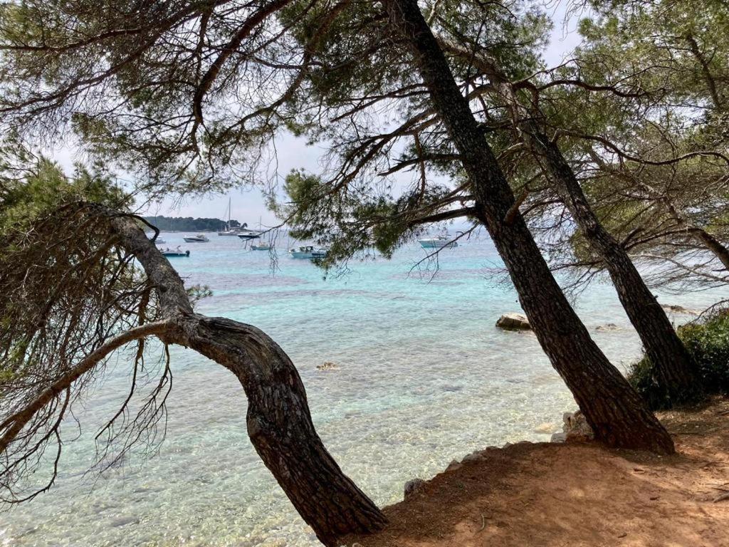 Appartement Centre Croisette Emplacement Exceptionnel Cannes Dış mekan fotoğraf