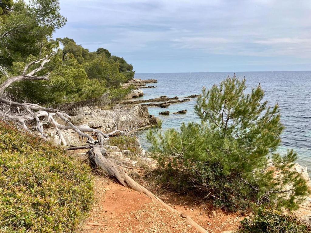 Appartement Centre Croisette Emplacement Exceptionnel Cannes Dış mekan fotoğraf