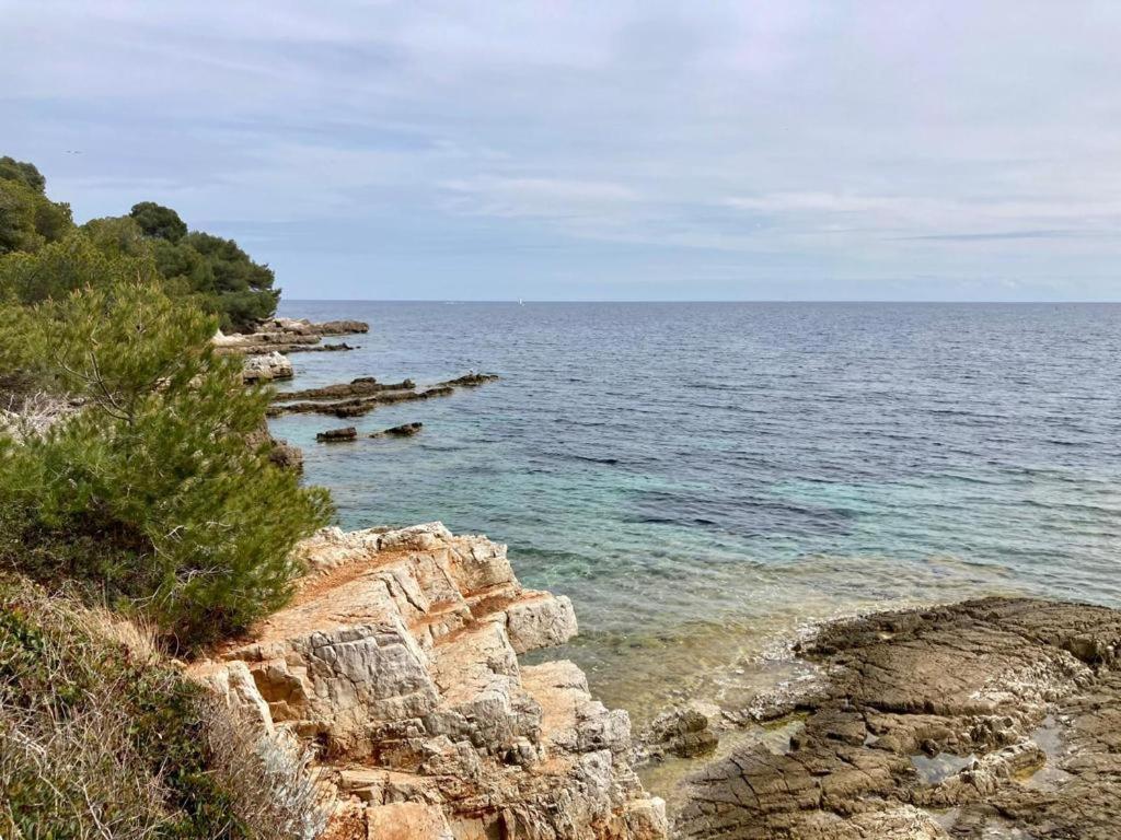 Appartement Centre Croisette Emplacement Exceptionnel Cannes Dış mekan fotoğraf